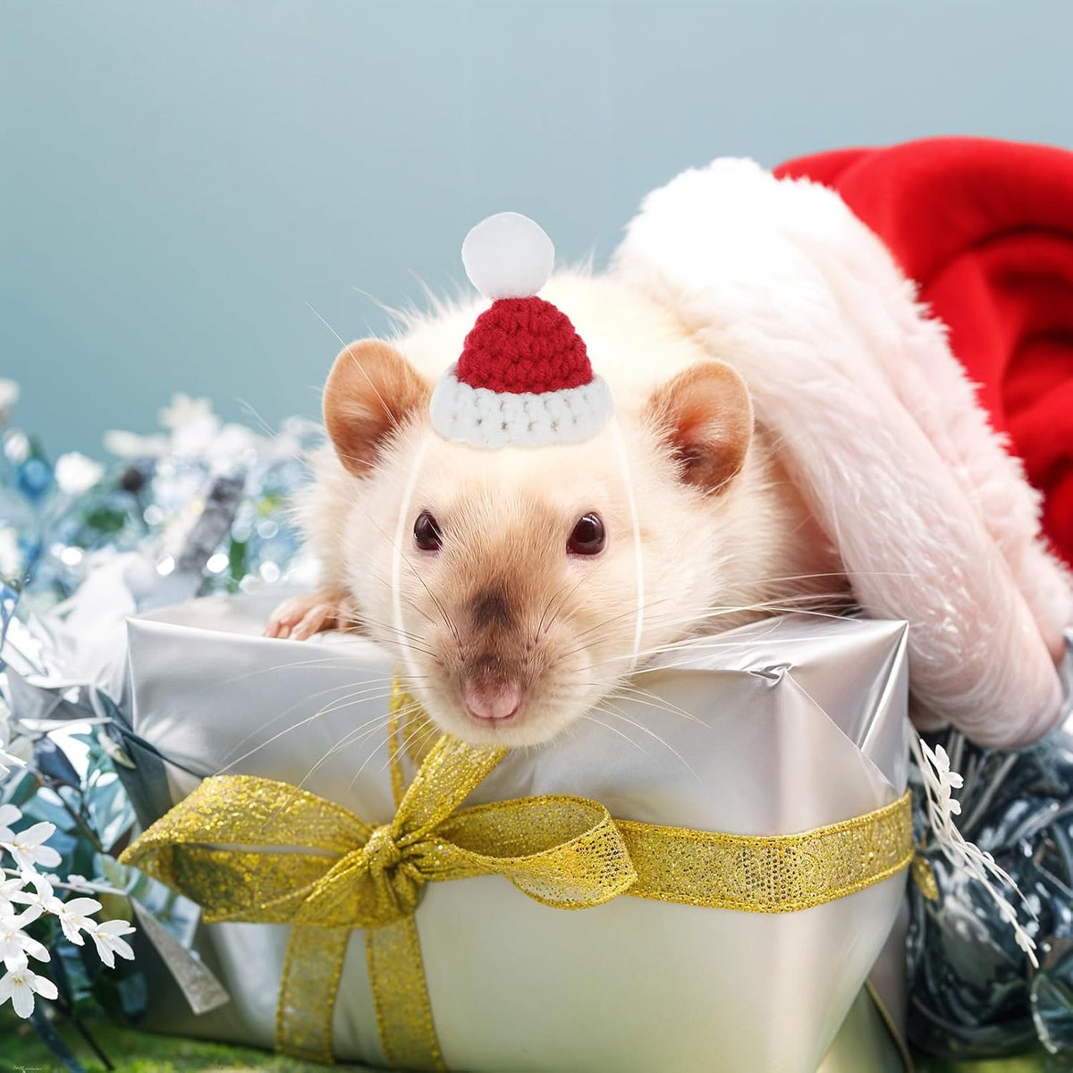 12Pcs Mini Knitted Hats for Hamster Small Animals with Adjustable Strap