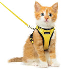 Dooradar Cat Harness and Leash Set, Escape Proof Safe Adjustable Kitten Vest by Dooradar