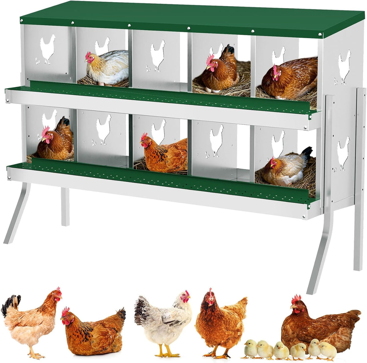 Chicken Nesting Box, 10 Holes Nesting Boxes for Chicken with Bracket Legs, Easy Egg Collection, Easy Cleaning, Chicken Laying Boxes for Chicken Coop Hens, Green