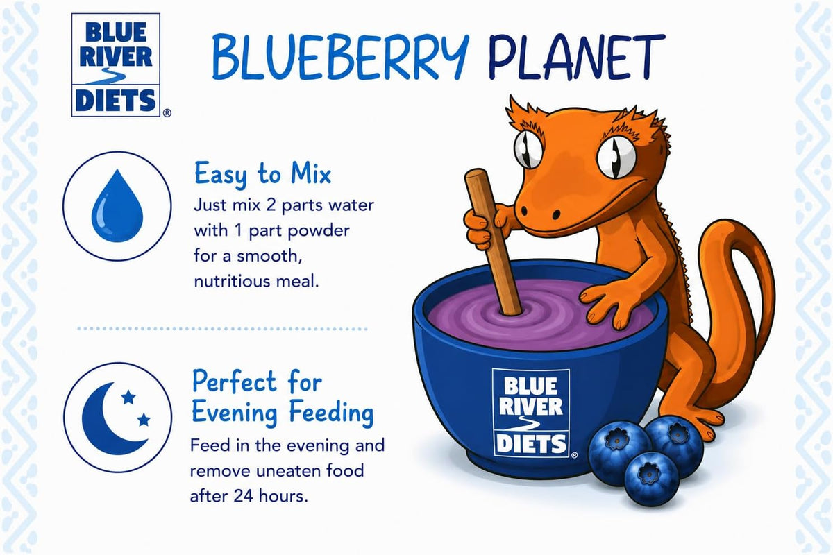 Blue River Diets Complete Crested Gecko Food for Crested Geckos | All-Natural Gecko Food Made in the UK | 2.10oz | 60g Blueberry Planet | 69% Real Fruit