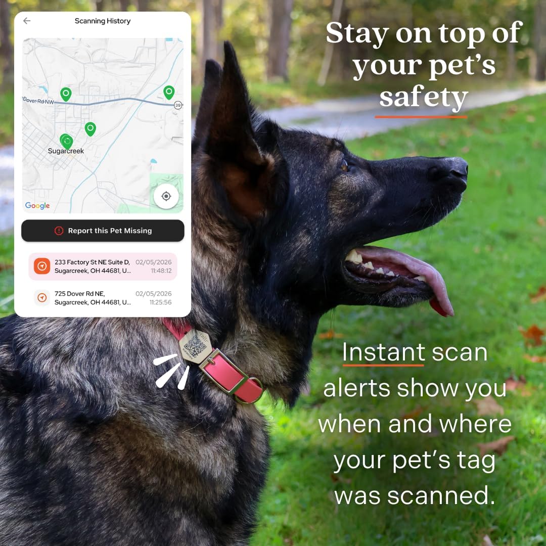 Slide-On Pet ID QR Tag, Gold-Plated Military-Grade Steel, Includes Free Digital Pet Profile App with Health Records Manager & Document Hub (Medium)