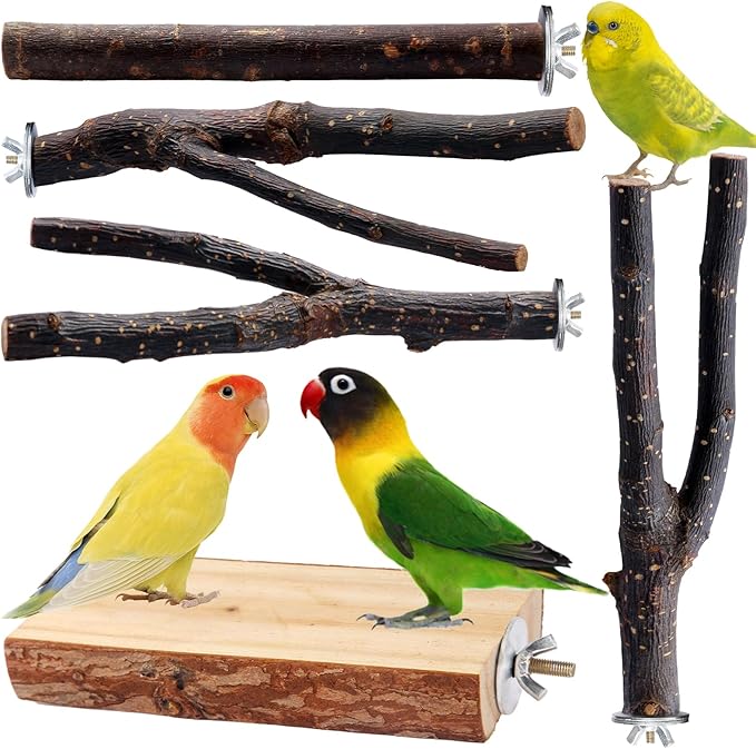 Bird Toys Parakeet Perch Budgie Perch Wood Stand Fork Toys Multi-Branch Perch by BBjinronjy