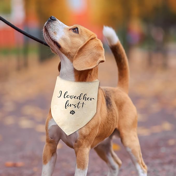 Engagement Gifts I Loved her First! Dog Bandana Pet Scarf Wedding Photo Prop - Image 6