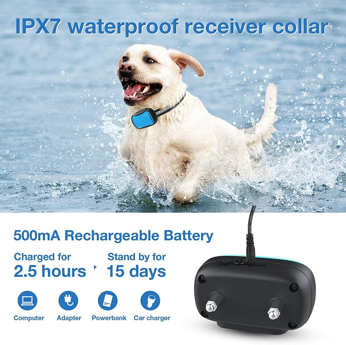 Electric Fence for 2 Dogs, Underground Dog Fence System