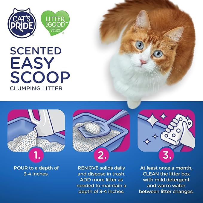 Cat's Pride Fresh and Clean Scent Cat Litter 10 lb. - Image 6