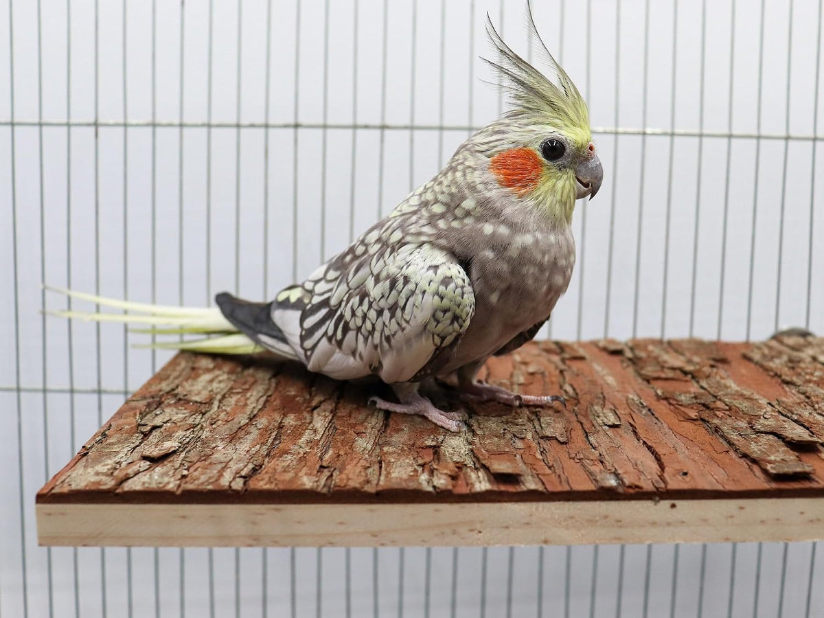 13.6 × 7.9 inch Large Bird Perch Stand Platform, Natural Wooden Small Animals Cage Accessories, Rectangle Stand Perch Shelf for Parrot Parakeet Cockatiel Rat Hamster Guinea Pig Conures Chinchillas