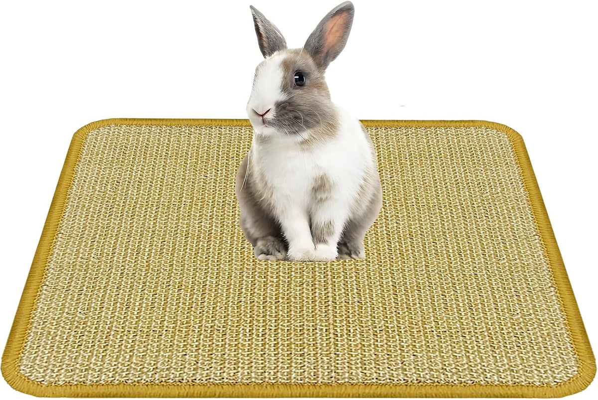 DYAUS Rabbit Scratching Pad, Sisal Bunny Scratch Pad, Natural Rabbit Foraging Mats for Cages, Indoor Bunny Toys Accessories for Bedding Biting Sleeping Resting (2PCS, 16x12in)