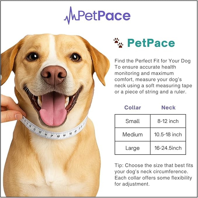 V3.0 Dog Health Monitor – AI Health Collar - Image 8