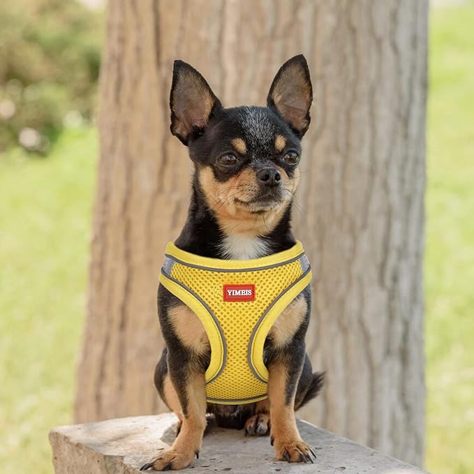 YIMEIS Dog Harness and Leash Set, No Pull Soft Mesh Pet Harness, Reflective - Image 2
