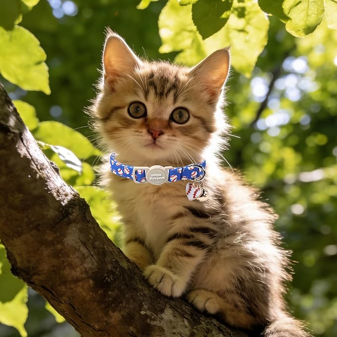 Unique Style Paws Baseball Kitten Collars, Cute Blue Cats Collar - Image 6