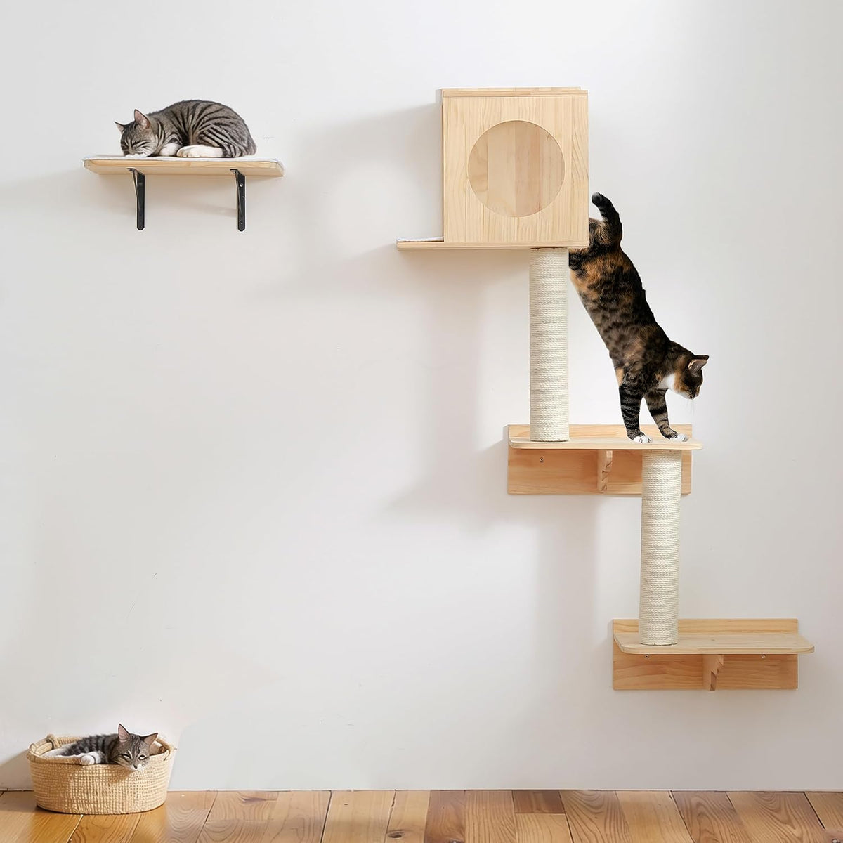 Wall Mounted Cat Tree, Cat Wall Climber, Kitty Climbing Shelves 51 x 35 in
