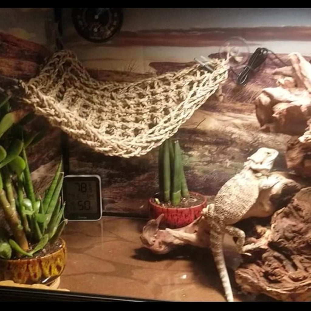 Seagrass Hammock for Bearded Dragon,4PCS Lizard Lounger,Natural Seagrass Gecko Hammocks with Hanging Plants Climbing Jungle Vines Flexible Leaves Habitat Decoration for Lizard Geckos Snakes