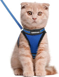 rabbitgoo Cat Harness and Leash Set by rabbitgoo
