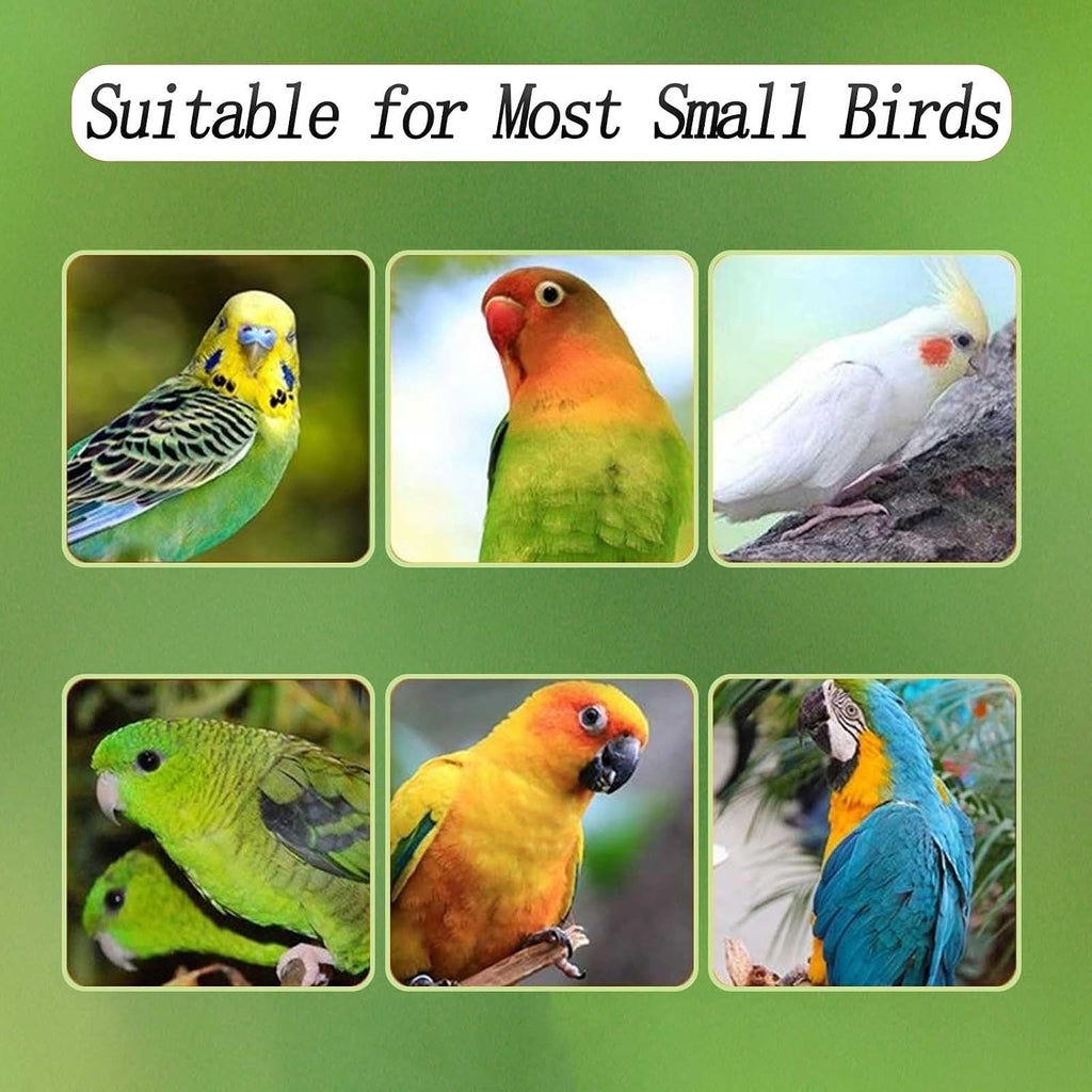 No Mess Bird Feeder for Cage, Automatic Acrylic Bird Feeder Seed Catcher Tray Cage with Stainless Steel Hooks for Small Parrots Canary Parakeet Budgerigar Crested Cockatiel Lovebird (Small)