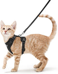 rabbitgoo Cat Harness and Leash by rabbitgoo