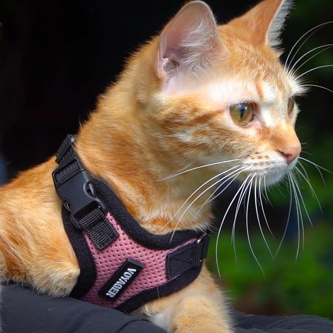 Voyager Escape-Proof Step-in Lock Cat Harness & 5ft Neoprene-Handle Leash Set - Image 5