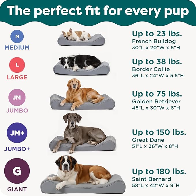 FurHaven Orthopedic Dog Bed for Medium Dogs, Luxe Lounger Contour Mattress - Image 6