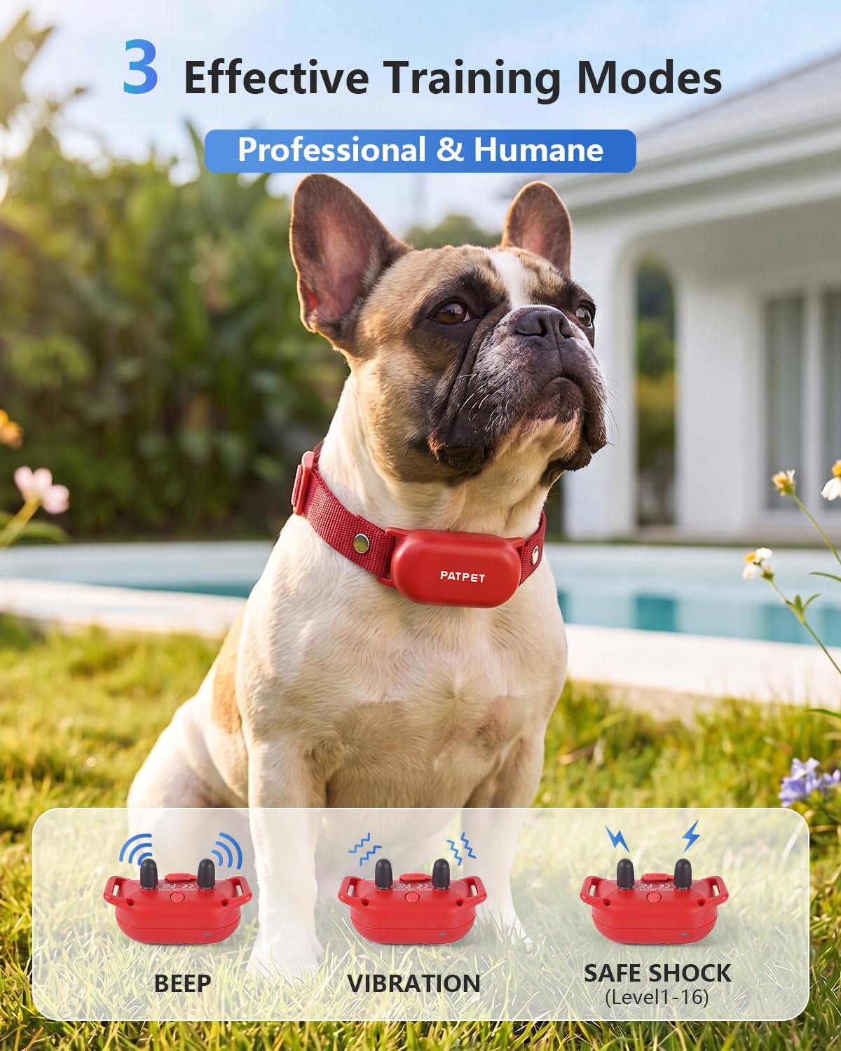 PATPET Dog Shock Collar with Remote Control - 4000FT Safe Training Collar