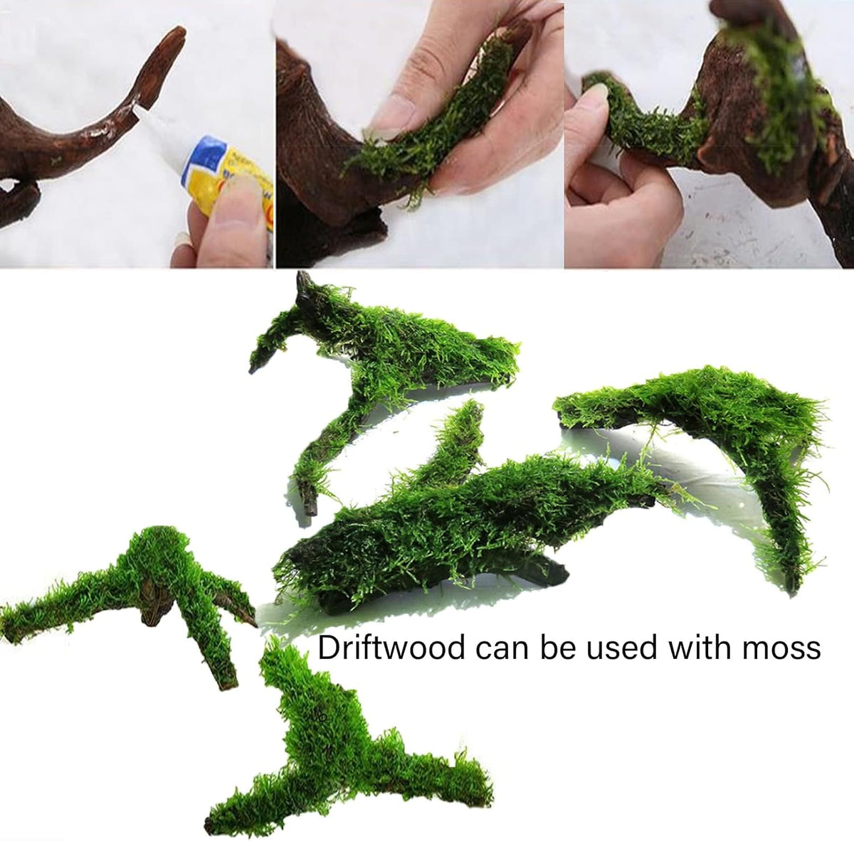 Tfwadmx 5PCS Aquarium Driftwood Branches 4''-7.8'' Reptiles Trunk Natural Wood Fish Tank Decoration Plant Stump Ornament Decor Assorted