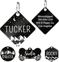 Ultra Joys Stainless Steel Personalized Dog and Cat ID Tags by UltraJoys