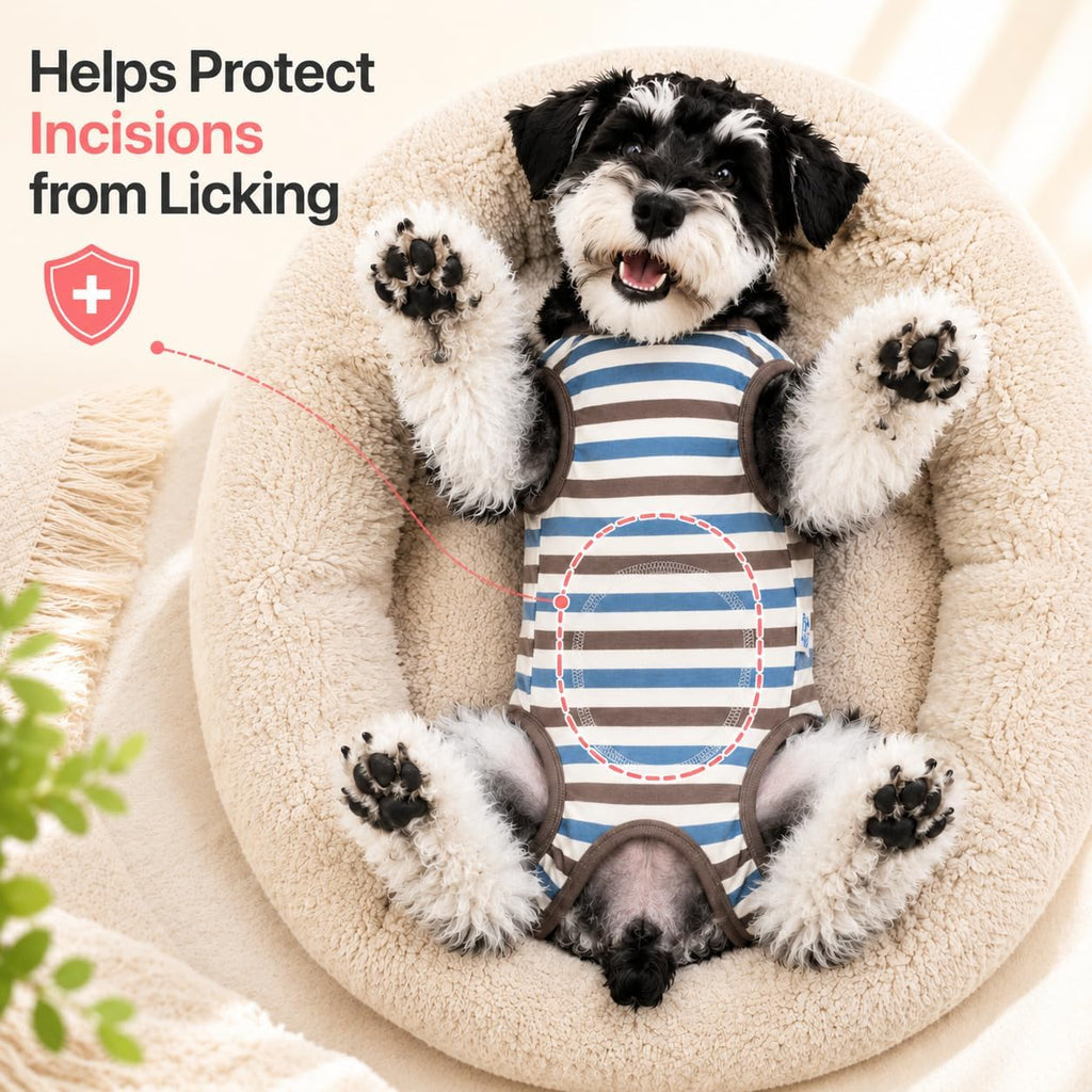 Kukaster Dog Recovery Suit After Surgery, E-Collar Alternative, Brown/S