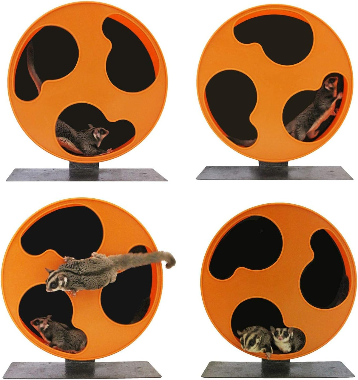 Silent Runner 12" Regular | Wheel + Cage Attachment | Sugar Gliders, Hamsters, Rats