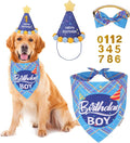 ADOGGYGO Dog Birthday Party Supplies, Party Hat by ADOGGYGO