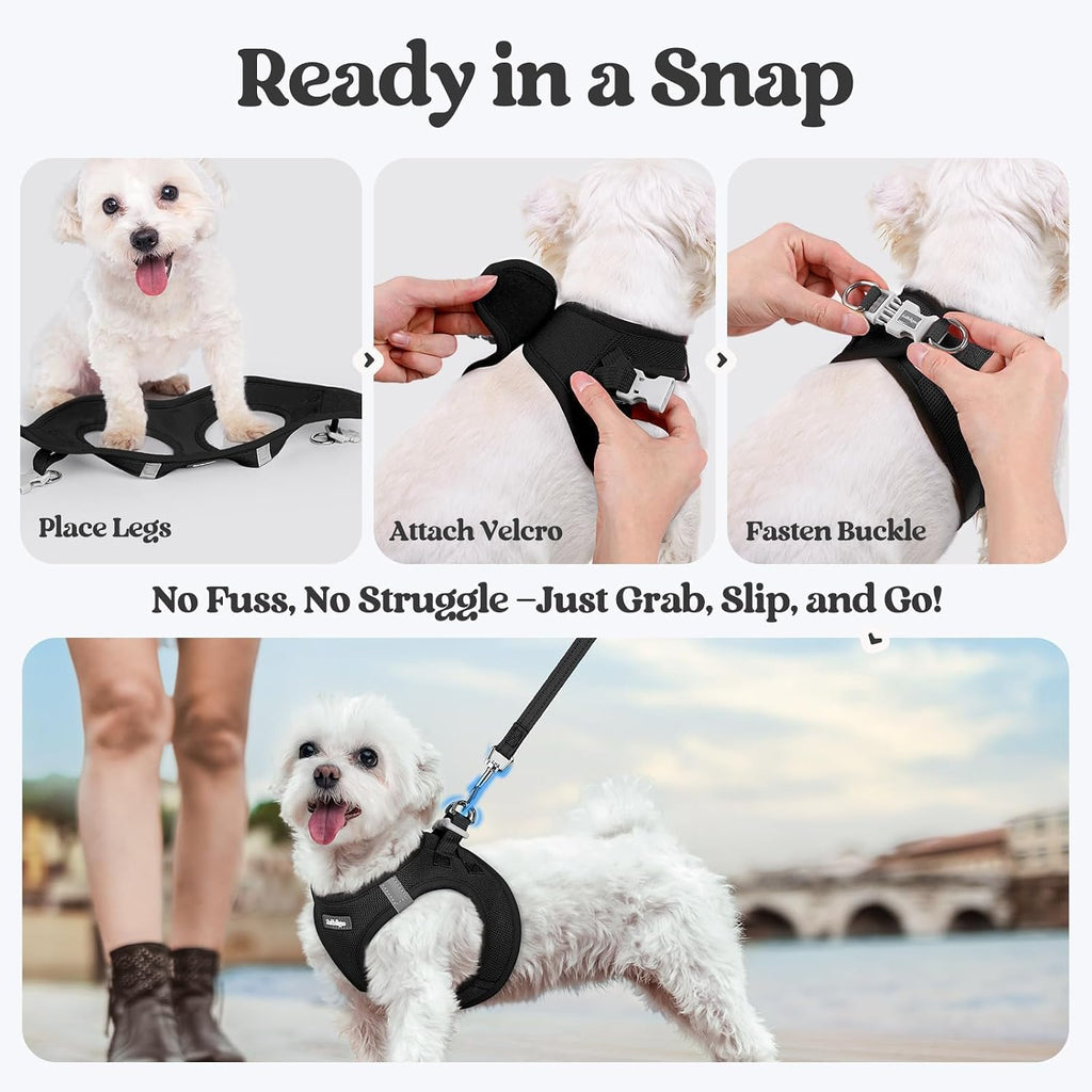 rabbitgoo Dog Harness Small Sized and Leash Set, Step-in Puppy Pet Vest