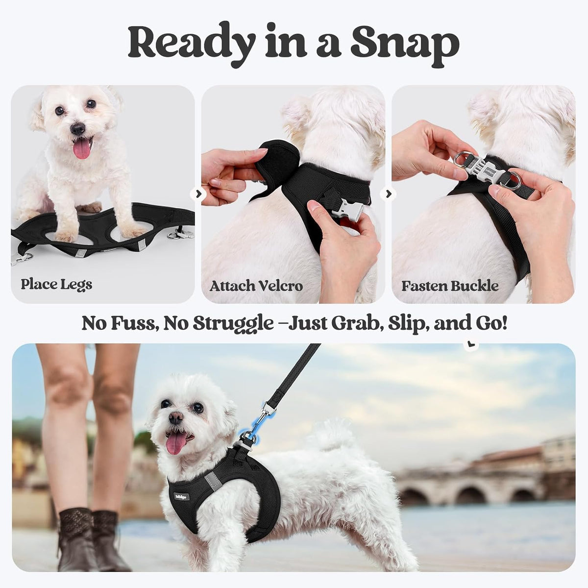 rabbitgoo Dog Harness Small Sized and Leash Set, Step-in Puppy Pet Vest