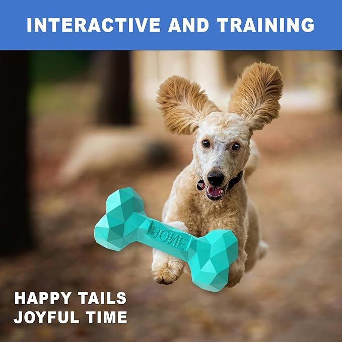 NOOVIA Durable Dog Chew Toy Rubber Bone 100% Natural Bite-Resistant Interactive - Image 4