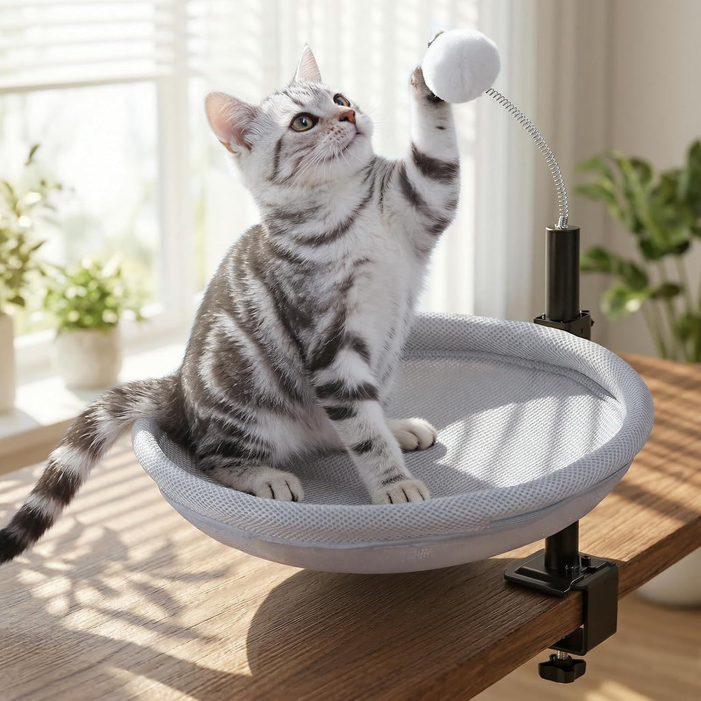 Cat Desk Bed with Interactive Hanging Ball