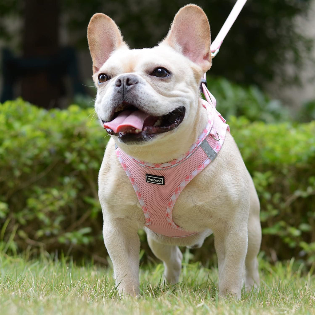 Mercano Soft Mesh Dog Harness and Leash Set, Step-in Reflective Breathable Lightweight Vest Harnesses with Safety Buckle for Small Dogs, Cats (Pink, XXS)