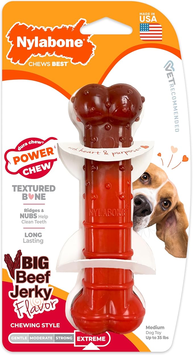 Nylabone Textured Bone Power Chew Toy - Image 9