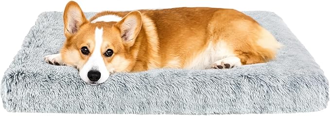 Fluffy Orthopedic Dog Beds for Small Dogs by Kimpets