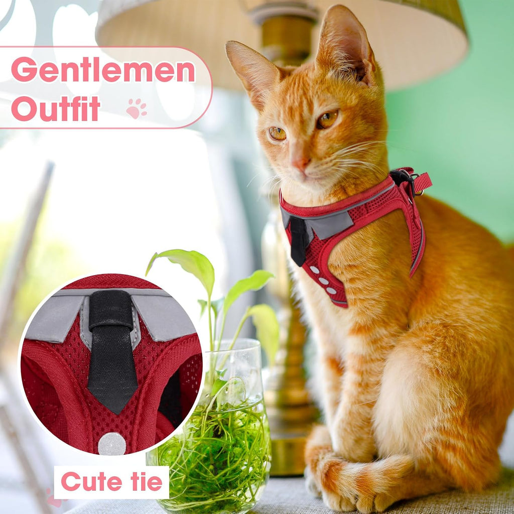 Cat Harness and Leash Set for Walking Escape Proof Vest for Kitten
