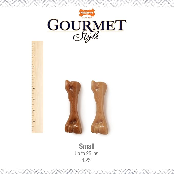 Nylabone Gourmet Style Strong Chew Toy Bundle, Toys - Image 4