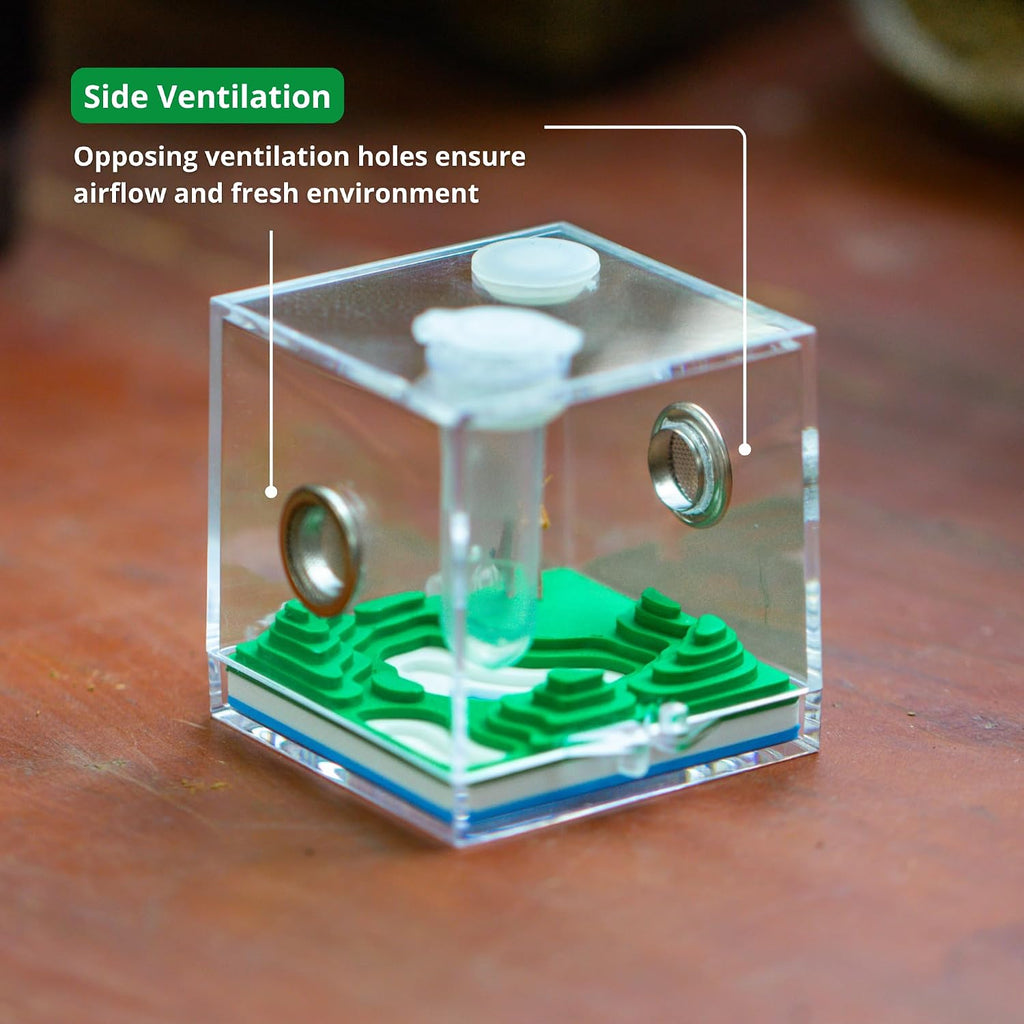 Jumping Spider Micro Enclosure Accessories Set, 2” Acrylic Mini Habitat with Mountain Lake Shaped Integrated Feeding-Watering Container, Modern Landscape Terrarium for Small Insects