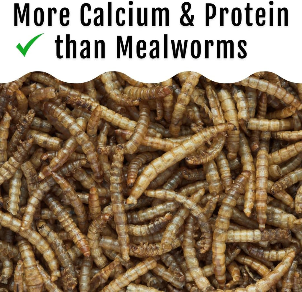 Buff Clucks Grub Fuel Black Soldier Fly Larvae for Chickens, Chick Feed 1lb
