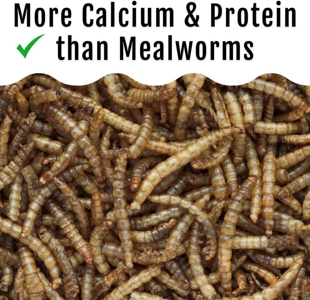 Buff Clucks Grub Fuel Black Soldier Fly Larvae for Chickens, Chick Feed 1lb