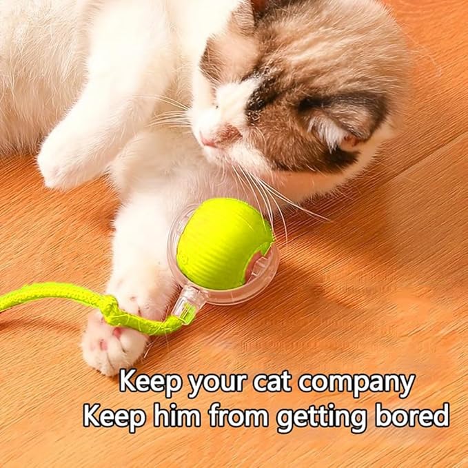 Automatic Interactive Rolling Cats Dog Toys Ball - Image 4