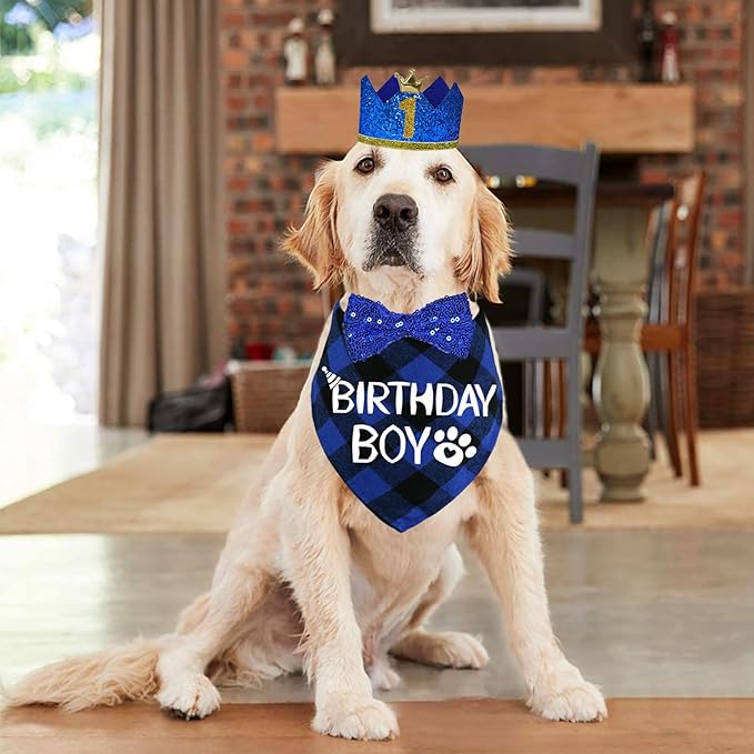 STMK Dog Birthday Party Supplies - Image 2