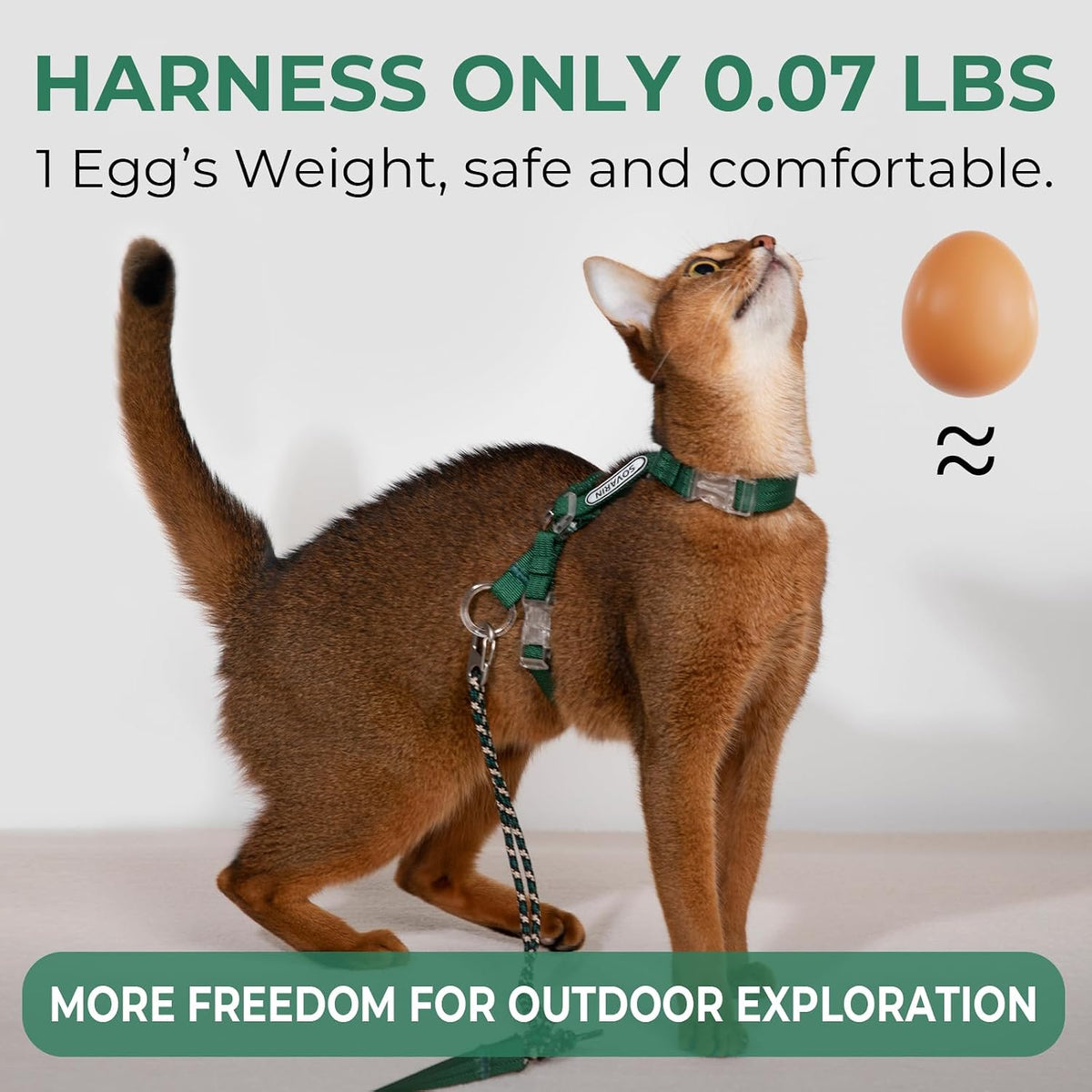 Cat Harness and Leash Set - Green Lightweight Soft Kitten Harness Escape Proof, Adjustable Travel Pet Harness for Walking，Easy Control Comfortable Outdoor (Green, One Size Fits All)
