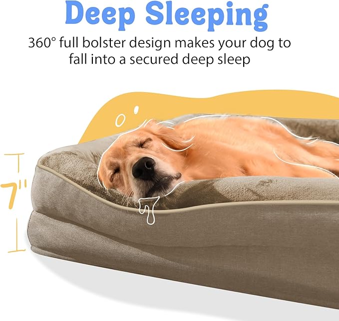 Orthopedic Extra Large Dog Bed - Image 3
