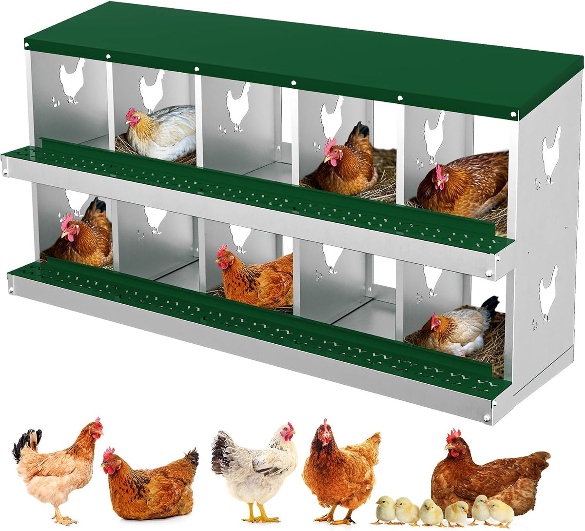 Chicken Nesting Boxes, 10 Compartments Nesting Boxes, Metal Chicken Laying Box with Roll Out Egg Collection with Vented Holes for Hens, Green