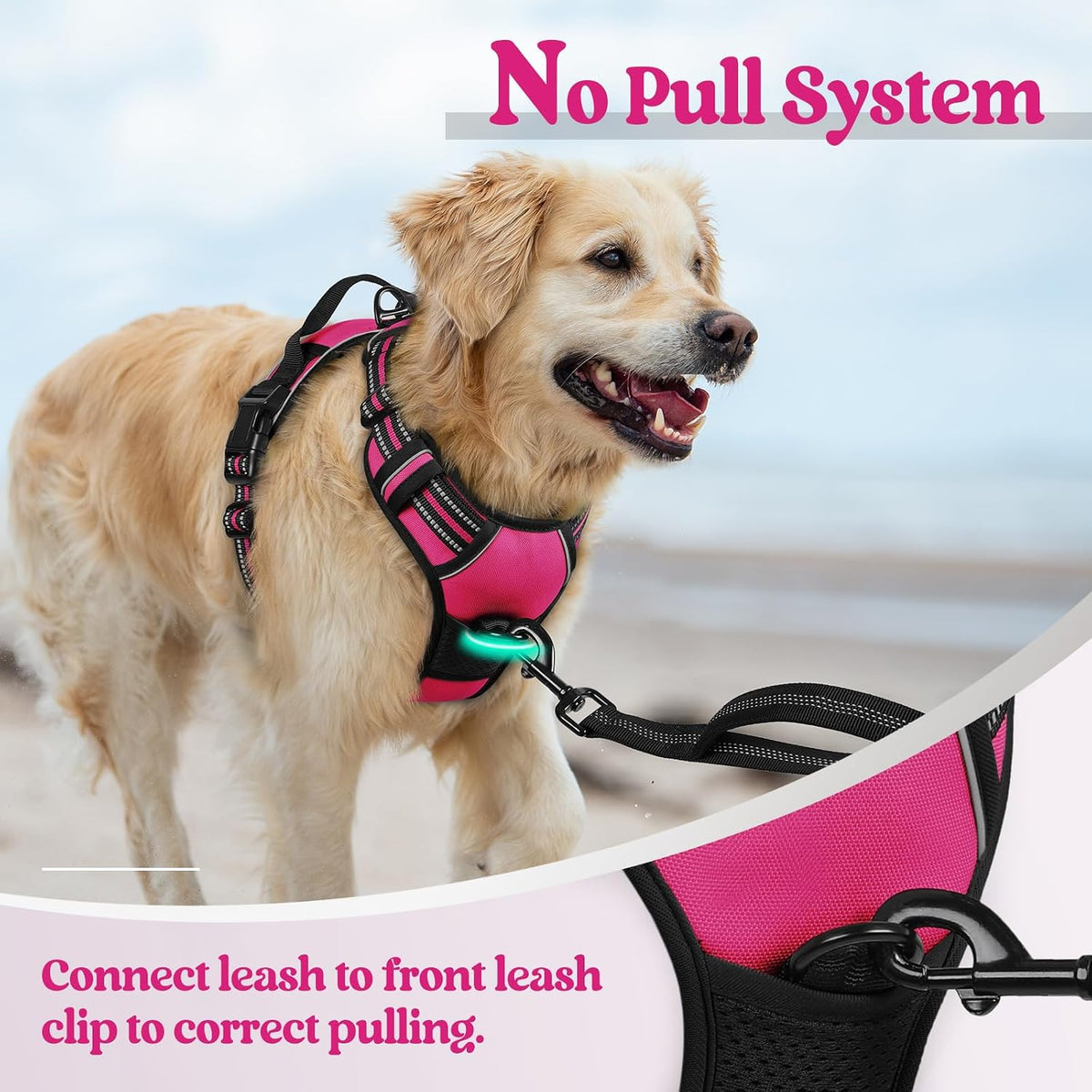 rabbitgoo Dog Harness, No Pull for Large Dogs with 2 Leash Clips, Pet Vest