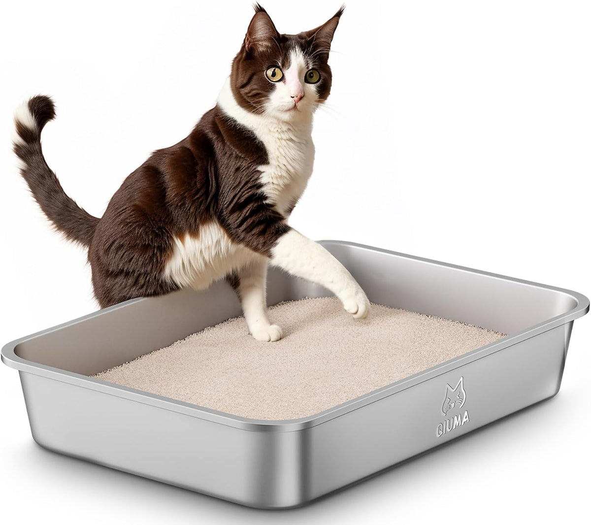 Stainless Steel Cat Litter Box, Metal Kitty Litter Box for Small Cats, Non-Stick, Easy to Clean, Odor-Free, 15.6"×11.6"×3.9", Low Entry for Kittens, Rabbits & Small Breeds