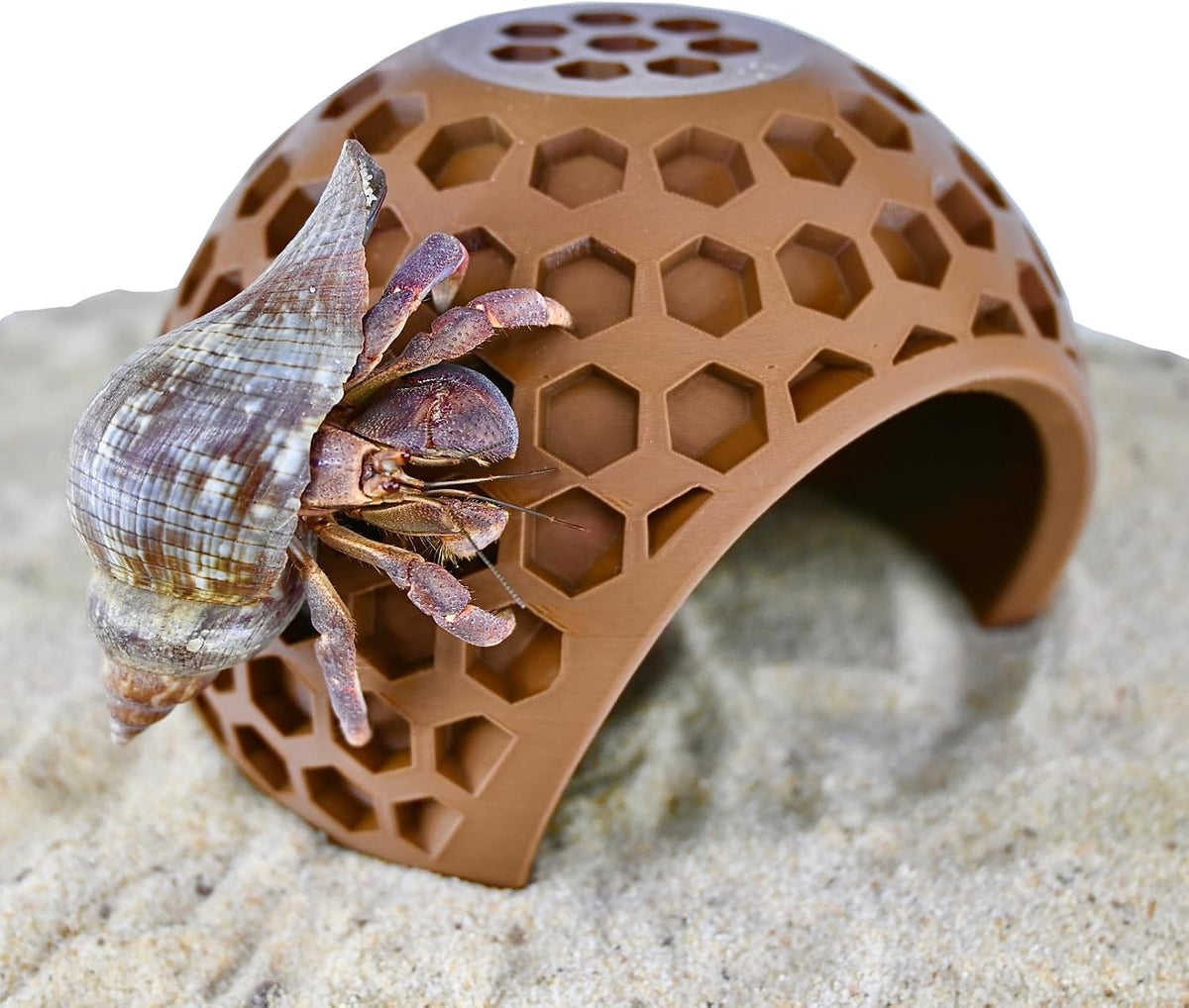 Hermit Crab Climbing Coconut Hideout Hut | Hermit Crab Climb Tank Decor Cave | Hideaway Habitat Hide Enrichment Decoration Accessories Supplies Toys Ornaments Climbing Toys