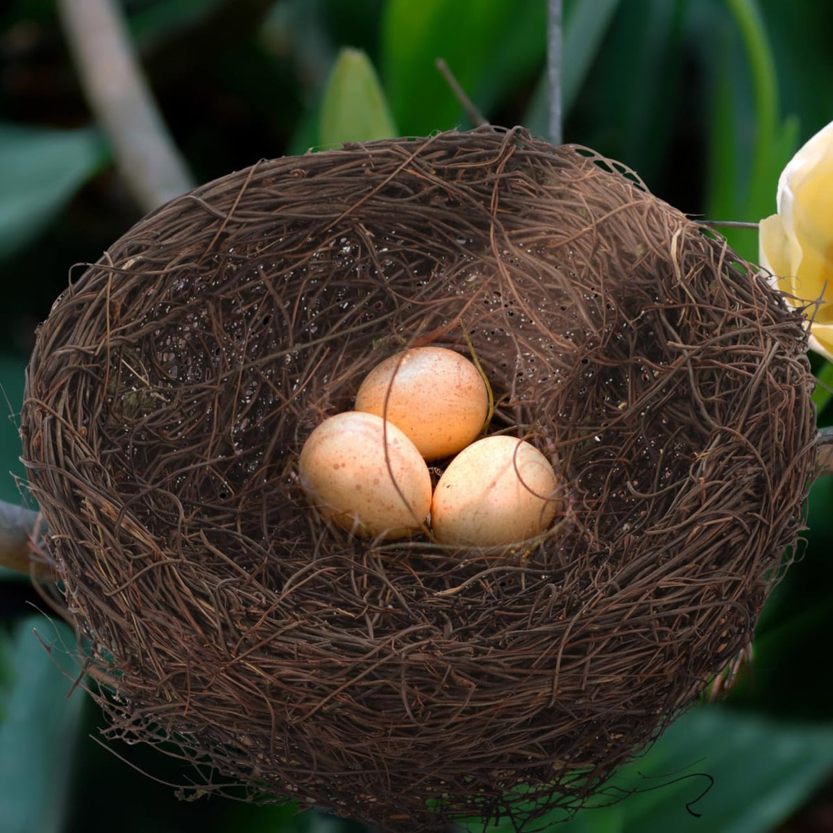 balacoo Rattan Bird Nest Decor Handmade Simulated Bird Nest Photo Prop and Table Decor for Birdcage Desk Tree Garden Easter Wedding Party Crafts 7.87 X 7.87 X 4.33 in