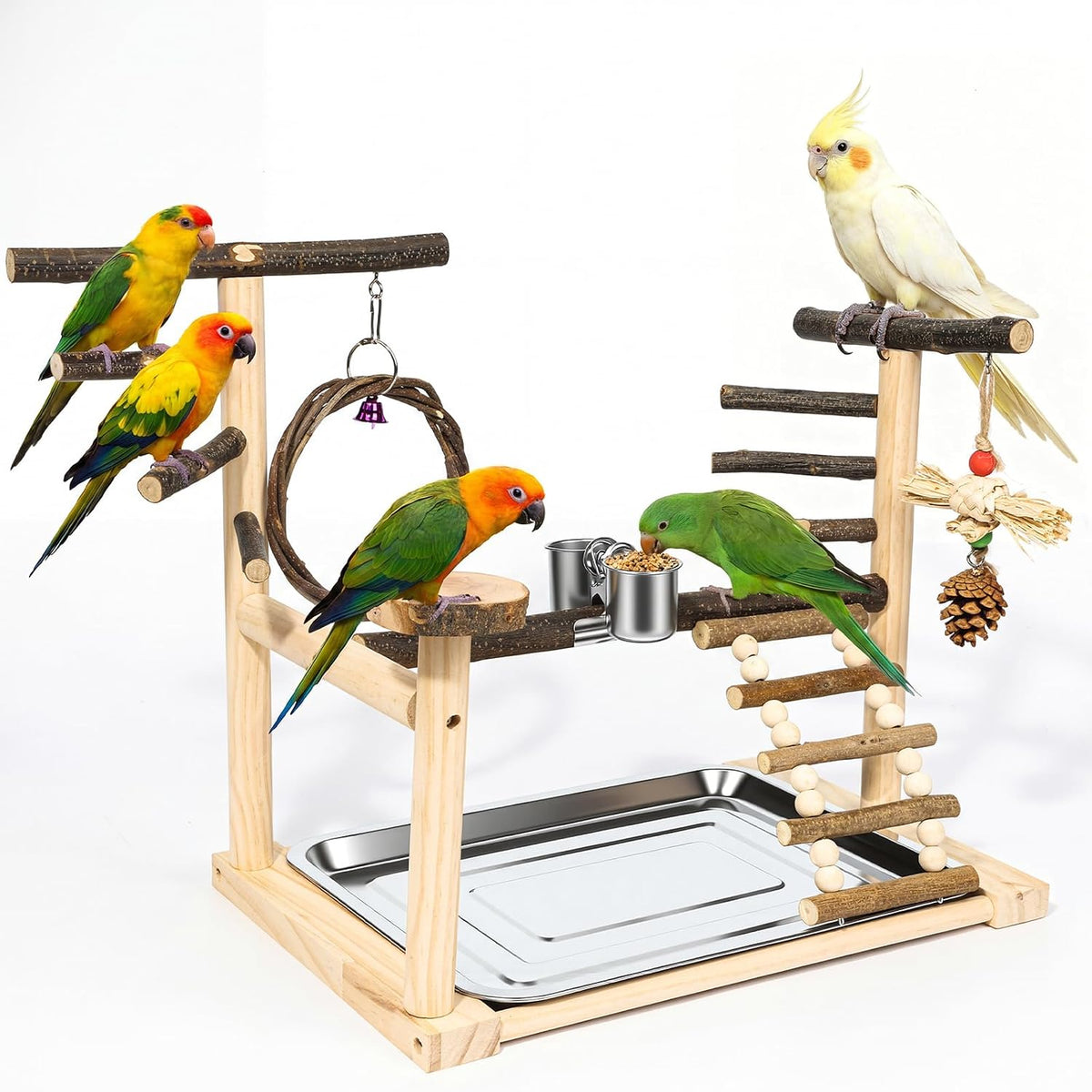 Bird Playground Wooden Parrot Stand for Small to Medium Birds