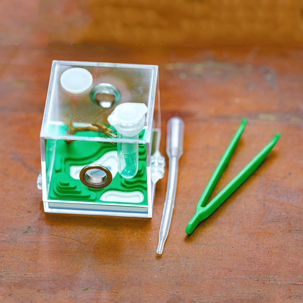 Jumping Spider Micro Enclosure Accessories Set, 2” Acrylic Mini Habitat with Mountain Lake Shaped Integrated Feeding-Watering Container, Modern Landscape Terrarium for Small Insects